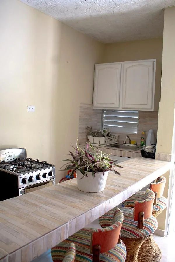Complejo Villa Las Palmeras Piscina, Billar, Jardin, Bbq @Drvacationsrental Samana Bed & Breakfast